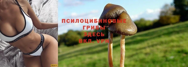 сатива Армянск