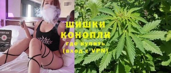 сатива Армянск