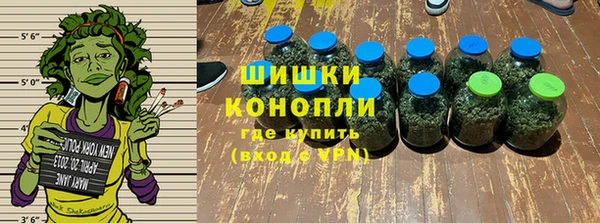 ПСИЛОЦИБИНОВЫЕ ГРИБЫ Арсеньев