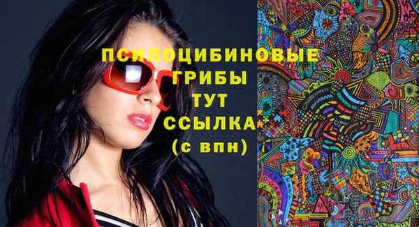 сатива Армянск