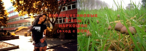 сатива Армянск