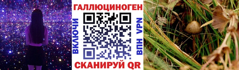 Псилоцибиновые грибы Magic Shrooms  Балабаново 